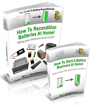 EZ Battery Reconditioning and Battery Business Guide